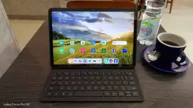 Matepad 11.5 umur 3 bulan