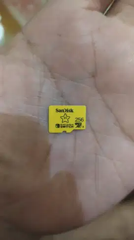 MicroSD Nintendo Switch 256GB