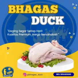 Bebek Peking Premium / 0,8 kg - 2,5 Kg