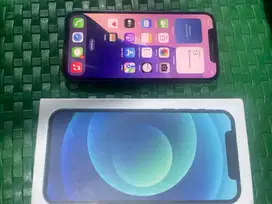 iphone 12 256gb  hari apple