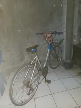 Sepeda Wanita Dewasa