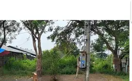 TANAH RAYA MOJOSARI TRAWAS MOJOKERTO 749 ASSET BANK, CASH ONLY