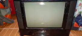 Tv LG 14 in minus power