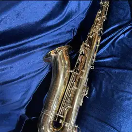 Saxophone Walker Tenor WTS 900H