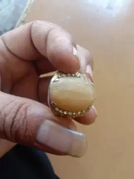 Batu akik fosil  gajah