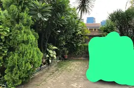 Tukang taman/kebun panggilan. 250rb/ hari