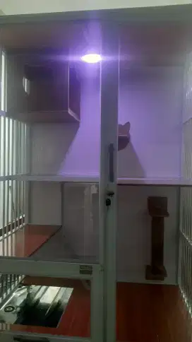 Kandang kucing dengan rumah an