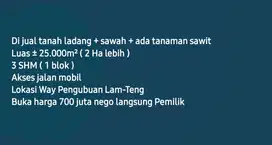 Di jual ladang+sawah di Way Pengubuan Lam-Teng