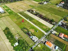 TANAH LANGKA AKSES JALAN UTAMA KE PANTAI KEDUNGU, TABANAN - BALI