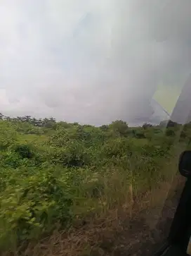 Tanah Untuk Industri di Bojonegara, Serang