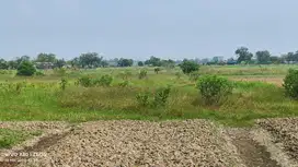 Dijual Cepat tanah persawahan Kedung Pengawas, Babelan, Bekasi