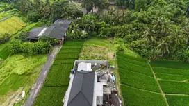 Dijual Tanah 470 m2 di Belalang Tabanan