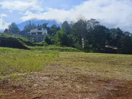 Tanah Luas 250 Meter Persegi Di Megamendung Puncak Bogor