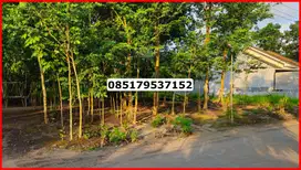 Tanah Murah Cocok Kost Ring 1 Kampus UII Kaliurang Sleman SHM-P