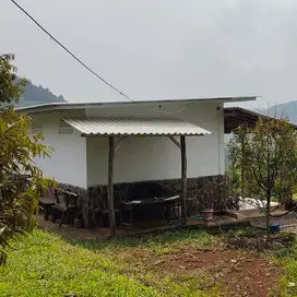Tanah Luas + Kebun Duren Murah di Cijambe Kota Subang