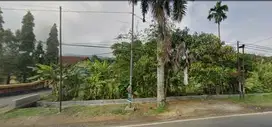 Dijual Tanah Pinggir Jalan Raya Somagede Banyumas