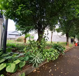 kavling Badan Luas Cantik Giri Loka BSD city