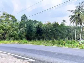 Tanah 250 Juta Tepi Jl Kerjo- Kemuning Karanganyar