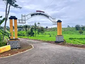 Tanah Vew Hamparan Sawah Dekat Fasum! Bonus udara sejuk