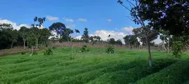 DIJUAL CEPAT TANAH STRATEGIS DIKOTA CIMAHI JAWA BARAT