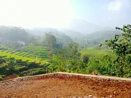TANAH SAWAH KEBUN MURAH SHM AIR NORMAL