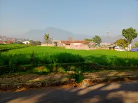 JUAL TANAH SAWAH HOOK PINGGIR JALAN RAYA