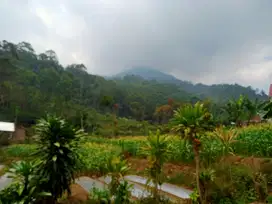 Jual cepat BU tanah 2 menitan taman Bougenville gunung Puntang