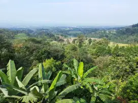Dijual tanah leduk, Tretes view terbaik