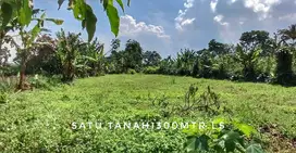 Dijual sebidang tanah datar subur pinggir jalan mudah diakses