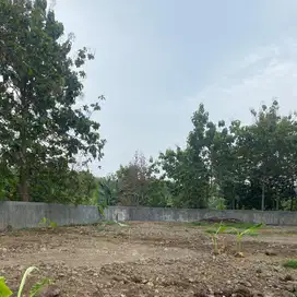 DIJUAL TANAH MURAH BEBAS BANJIR 1000m2 METESEH SEMARANG