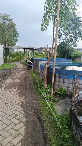 Tanah kosong 200 m di belakang perumahan Suvarna Sutra Sindang Jaya