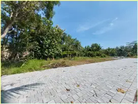 130 juta dapat Tanah dekat Bandara YIA di tawangsari kulonprogo