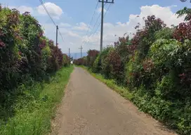 BU.Tanah produktif di Tawangargo Karangploso Malang