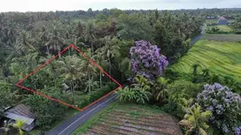 Tanah pantai pasut tabanan
