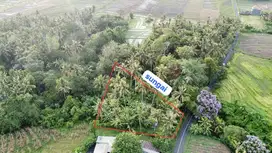 Tanah pantai pasut tabanan bali