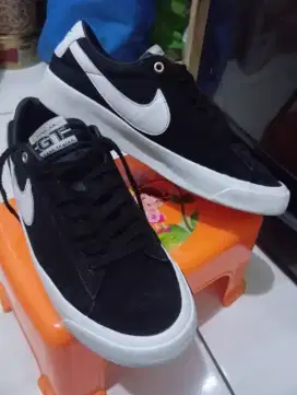Nike Zoom Blazer Pro GT