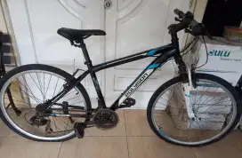sepeda polygon dewasa