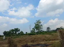 Dijual Tanah Dau Dekat UIN 3 Untuk Hunian Nyaman dan Villa Mewah