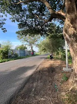 1990m,SHM, Desa Tawangsari, Kecamatan Trowulan, Kabupaten Mojokerto