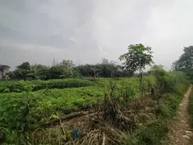 Dijual Tanah Kavling Tepi Jalan ,Legalitas SHM Bogor kota