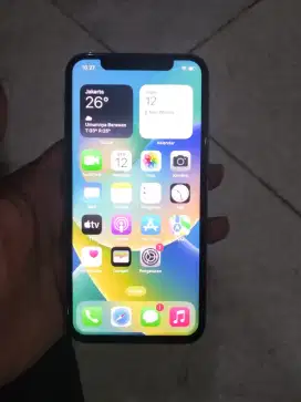 iPhone x 256gb inter all operator