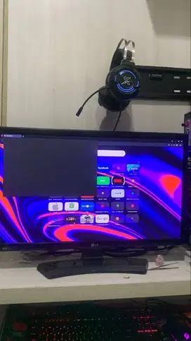 Monitor LED LG 22 inc