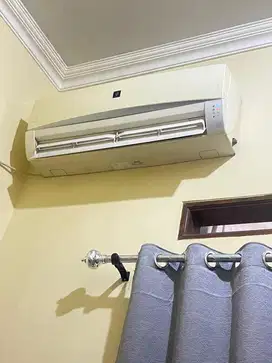 Ac sharp 1/2 pk