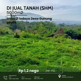 Dijual Tanah SHM 5.000m² di Gunung Geulis, Harga 1,2/m2 Nego Cepat