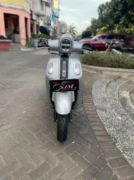 Fazzio Lux 2024 Pajak On
