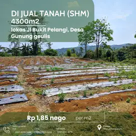 Di Jual Tanah SHM 4.300m²- View Pegunungan, Harga 1,85 Juta/m² Nego!