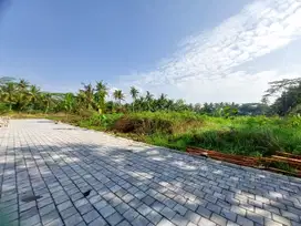 Tanah Murah di Jl. Kyai Ronggo, Cocok untuk Rumah