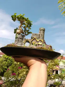 Bonsai hias panaroma istimewa