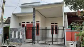 DARI DINDING KE KARYA,RUMAH YANG MENGHIDUPKAN IMAJINASI