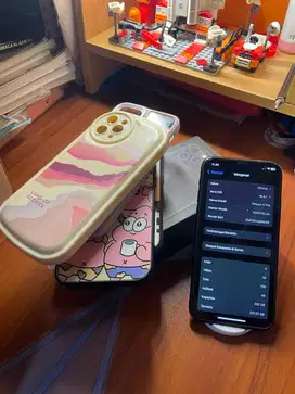 iPhone 11 Pro 256GB space gray ex inter